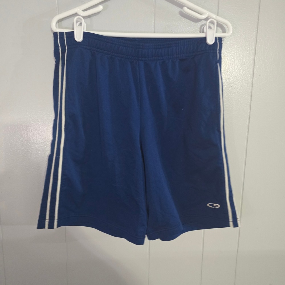 C9 Champion Athletic Shorts Mens Medium‎ Blue Striped Mesh Gym Workout